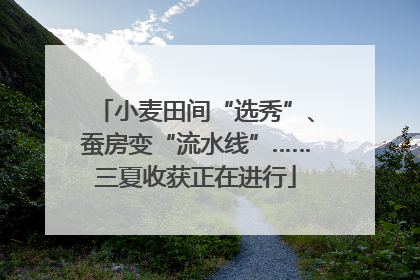 小麦田间“选秀”、蚕房变“流水线”……三夏收获正在进行