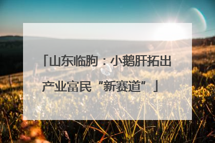 山东临朐：小鹅肝拓出产业富民“新赛道”