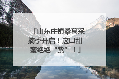 山东庄镇桑葚采摘季开启！这口甜蜜绝绝“紫”！
