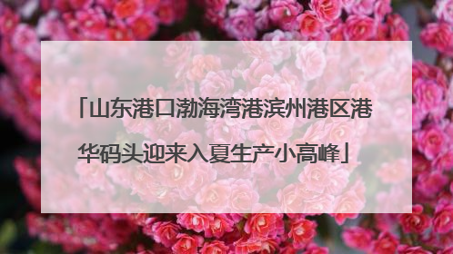 山东港口渤海湾港滨州港区港华码头迎来入夏生产小高峰