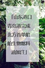 山东港口青岛港完成北方首单船舶生物燃料油加注