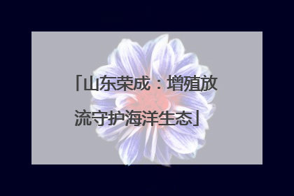 山东荣成：增殖放流守护海洋生态