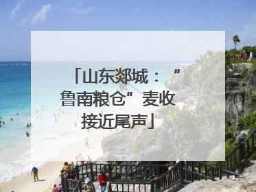山东郯城：“鲁南粮仓”麦收接近尾声