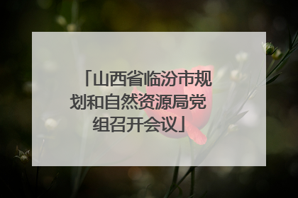 山西省临汾市规划和自然资源局党组召开会议
