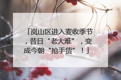 岚山区进入麦收季节，昔日“老大难”，变成今朝“抢手货”！