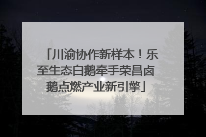 川渝协作新样本！乐至生态白鹅牵手荣昌卤鹅点燃产业新引擎