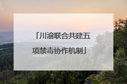 川渝联合共建五项禁毒协作机制