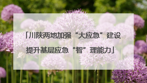 川陕两地加强“大应急”建设 提升基层应急“智”理能力