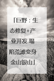 巨野：生态修复+产业开发 塌陷荒滩变身金山银山