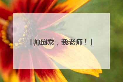 帅蜀黍，我老师！