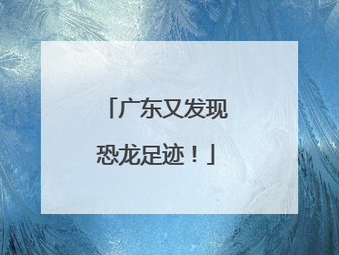 广东又发现恐龙足迹！