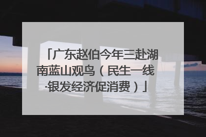 广东赵伯今年三赴湖南蓝山观鸟（民生一线·银发经济促消费）