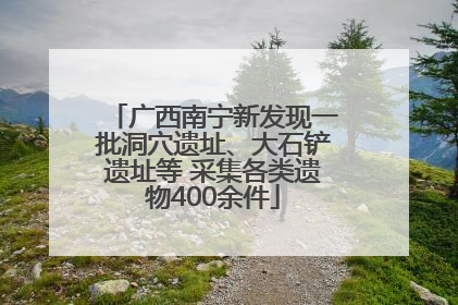 广西南宁新发现一批洞穴遗址、大石铲遗址等 采集各类遗物400余件