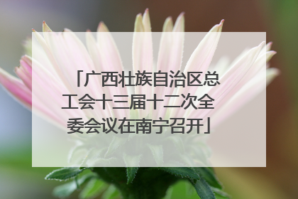 广西壮族自治区总工会十三届十二次全委会议在南宁召开