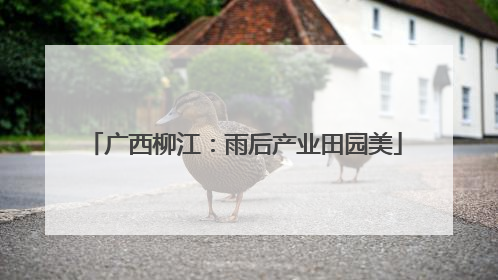 广西柳江：雨后产业田园美