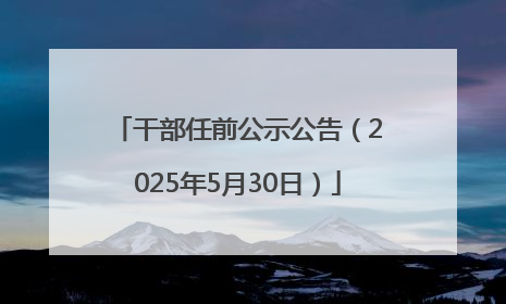 干部任前公示公告（2025年5月30日）