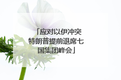 应对以伊冲突 特朗普提前退席七国集团峰会