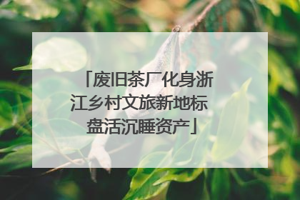 废旧茶厂化身浙江乡村文旅新地标 盘活沉睡资产