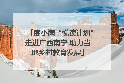 度小满“悦读计划”走进广西南宁 助力当地乡村教育发展