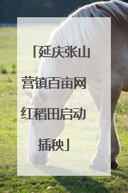 延庆张山营镇百亩网红稻田启动插秧