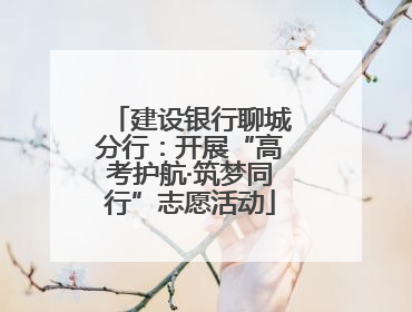 建设银行聊城分行：开展“高考护航·筑梦同行”志愿活动