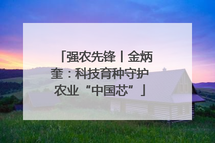强农先锋丨金炳奎：科技育种守护农业“中国芯”