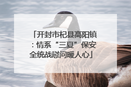 开封市杞县高阳镇：情系“三夏”保安全统战慰问暖人心