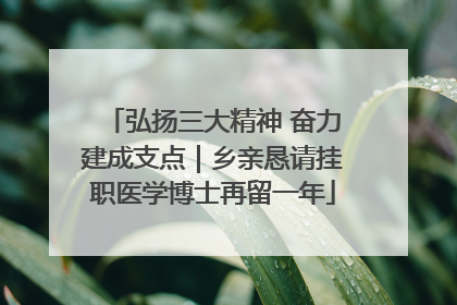 弘扬三大精神 奋力建成支点｜乡亲恳请挂职医学博士再留一年