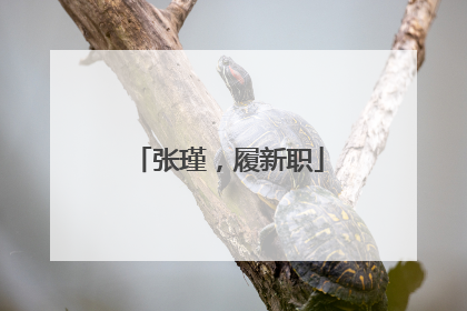 张瑾，履新职