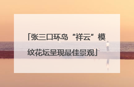 张三口环岛“祥云”模纹花坛呈现最佳景观