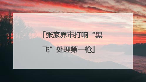 张家界市打响“黑飞”处理第一枪