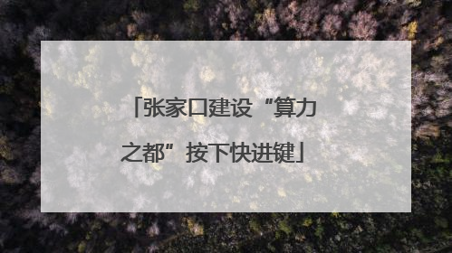 张家口建设“算力之都”按下快进键