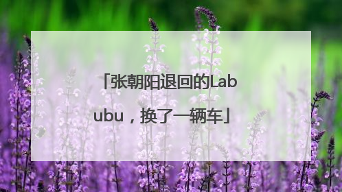 张朝阳退回的Labubu，换了一辆车