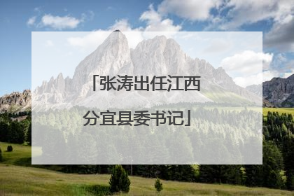 张涛出任江西分宜县委书记