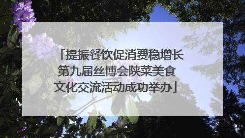 提振餐饮促消费稳增长 第九届丝博会陕菜美食文化交流活动成功举办