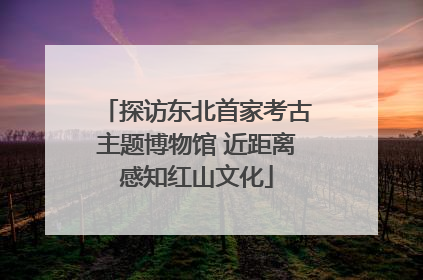 探访东北首家考古主题博物馆 近距离感知红山文化