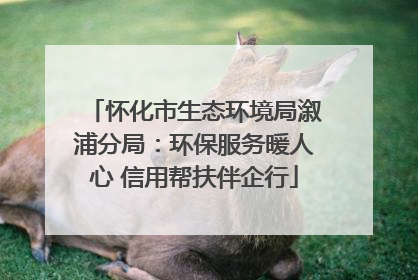 怀化市生态环境局溆浦分局：环保服务暖人心 信用帮扶伴企行