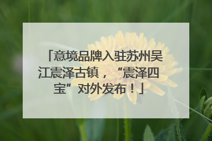 意境品牌入驻苏州吴江震泽古镇，“震泽四宝”对外发布！
