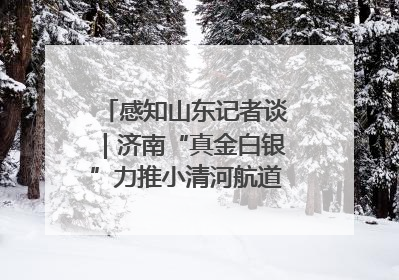 感知山东记者谈｜济南“真金白银”力推小清河航道 黄金水道激活区域经济新动能