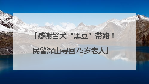 感谢警犬“黑豆”带路！民警深山寻回75岁老人