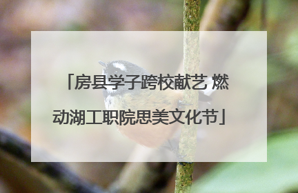 房县学子跨校献艺 燃动湖工职院思美文化节