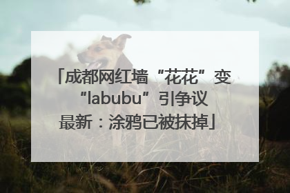 成都网红墙“花花”变“labubu”引争议 最新：涂鸦已被抹掉