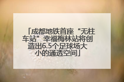 成都地铁首座“无柱车站”幸福梅林站将创造出6.5个足球场大小的通透空间