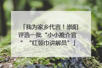 我为家乡代言！崇阳评选一批“小小推介官”“红领巾讲解员”