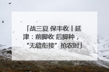 战三夏 保丰收丨延津：前脚收 后脚种，“无缝衔接”抢农时