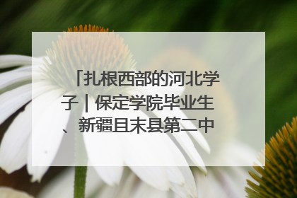 扎根西部的河北学子｜保定学院毕业生、新疆且末县第二中学教师黄小凤：《歌唱祖国》是她教会学生的第一首歌