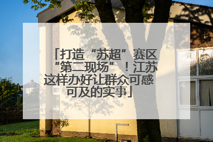 打造“苏超”赛区“第二现场”！江苏这样办好让群众可感可及的实事