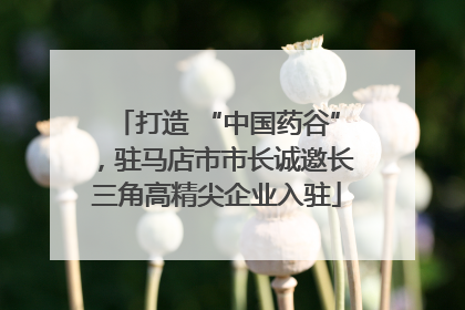 打造 “中国药谷”，驻马店市市长诚邀长三角高精尖企业入驻