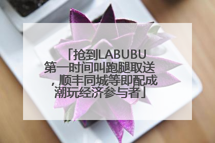 抢到LABUBU第一时间叫跑腿取送，顺丰同城等即配成潮玩经济参与者
