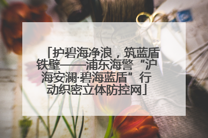 护碧海净浪，筑蓝盾铁壁——浦东海警“沪海安澜·碧海蓝盾”行动织密立体防控网